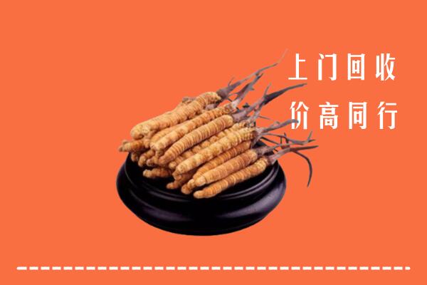 高价求购：开封市禹王台回收散虫草
