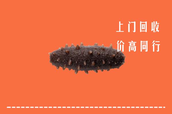 开封市禹王台回收海参