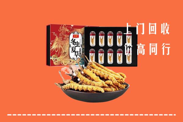 开封市禹王台回收虫草